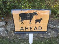 Cattle Ahead Reflective Roll Up Banner A4056