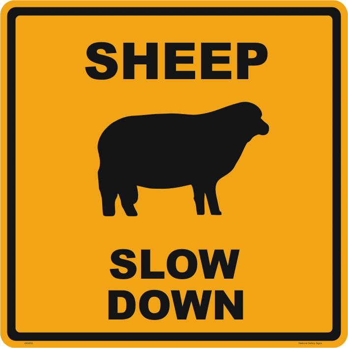 Sheep Slow Down