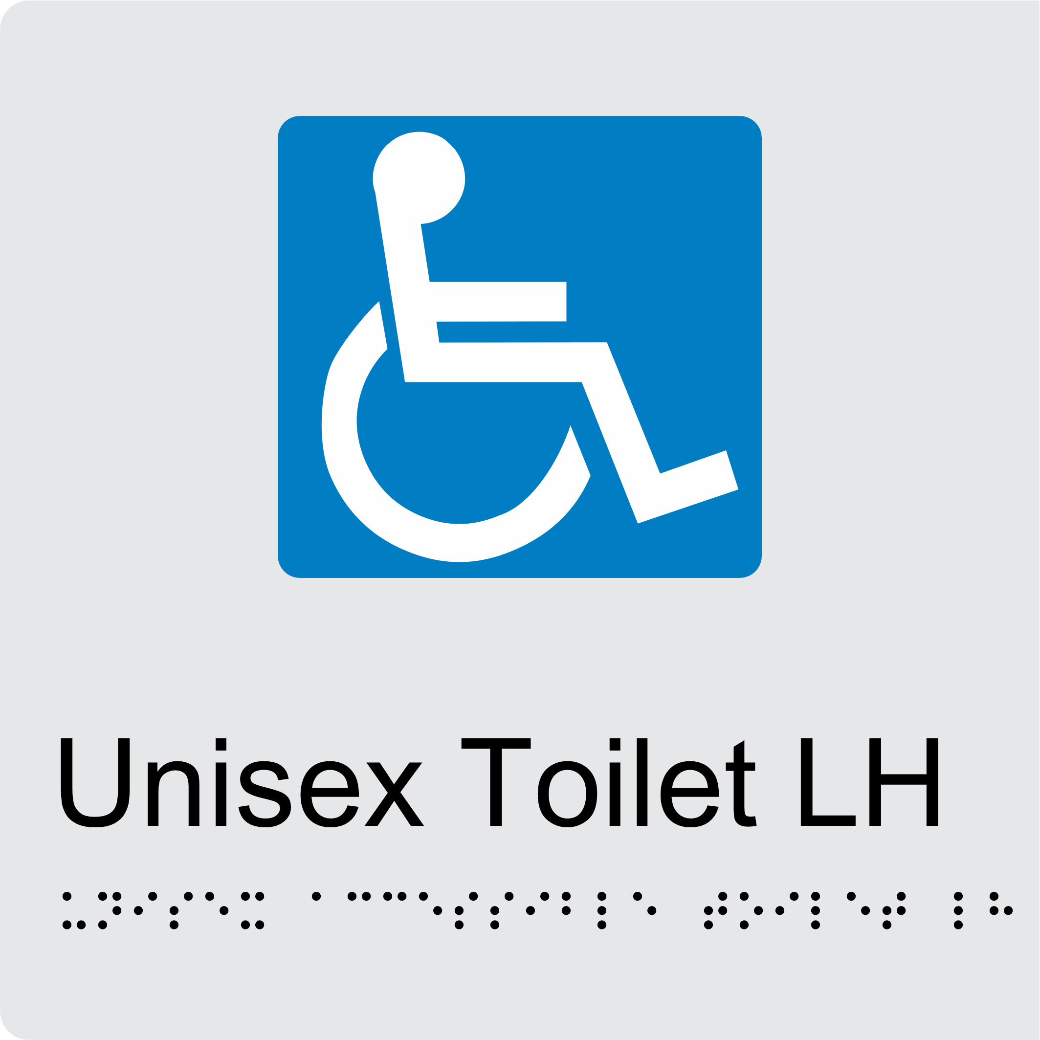 Disabled Toilet LH BT03 Braille Sign