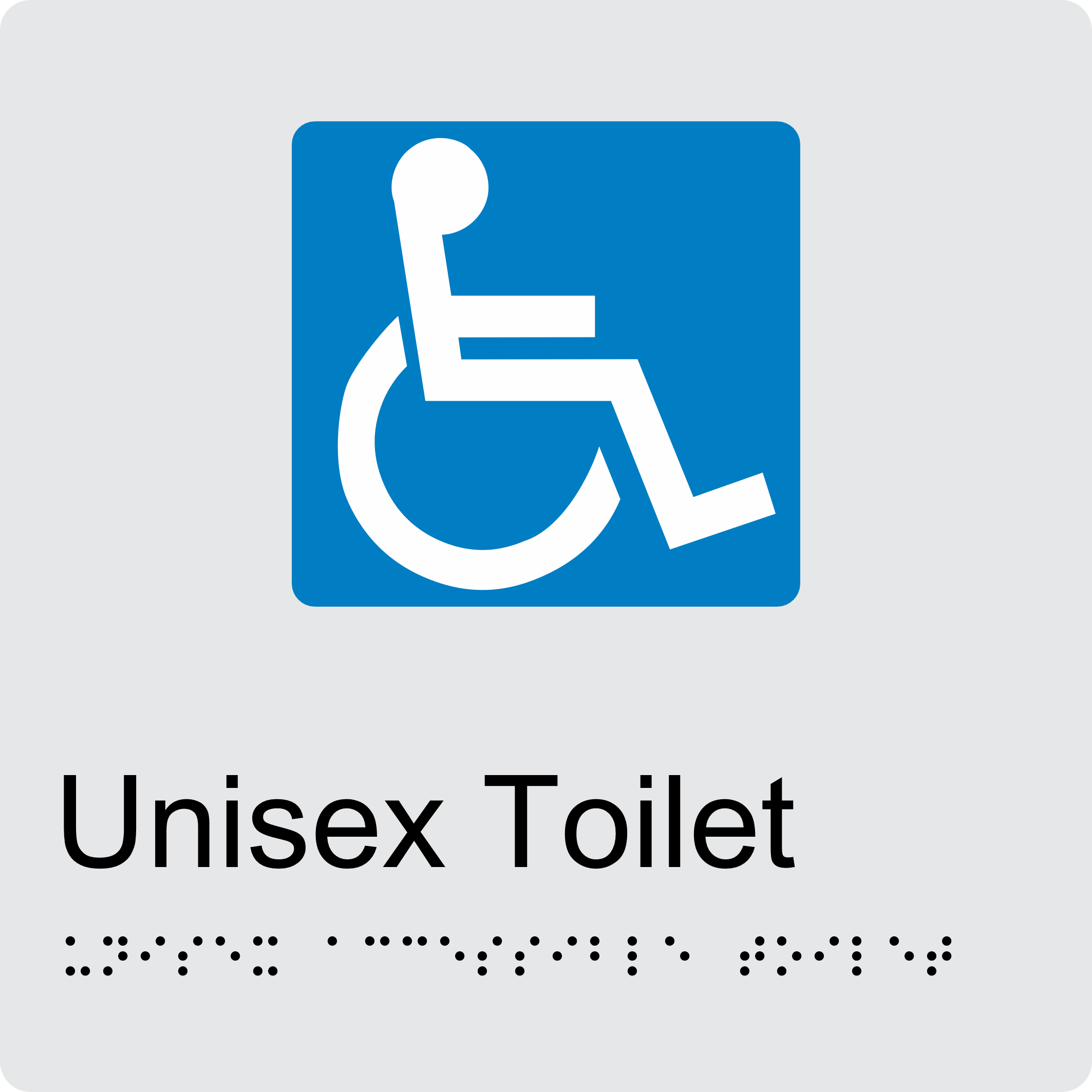 Disabled Toilet BT05 Braille Sign