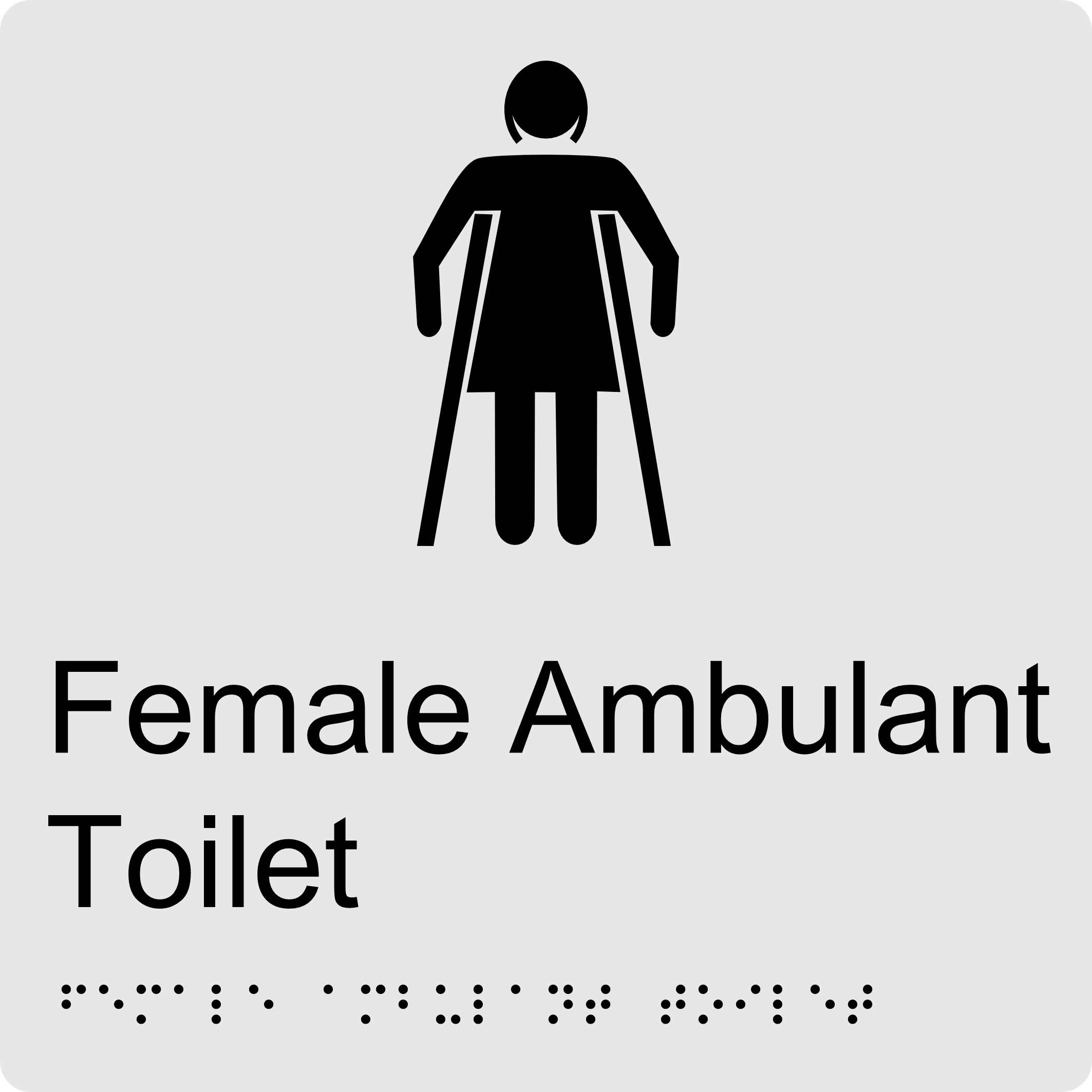 Female Ambulant Toilet BT17 Braille Sign