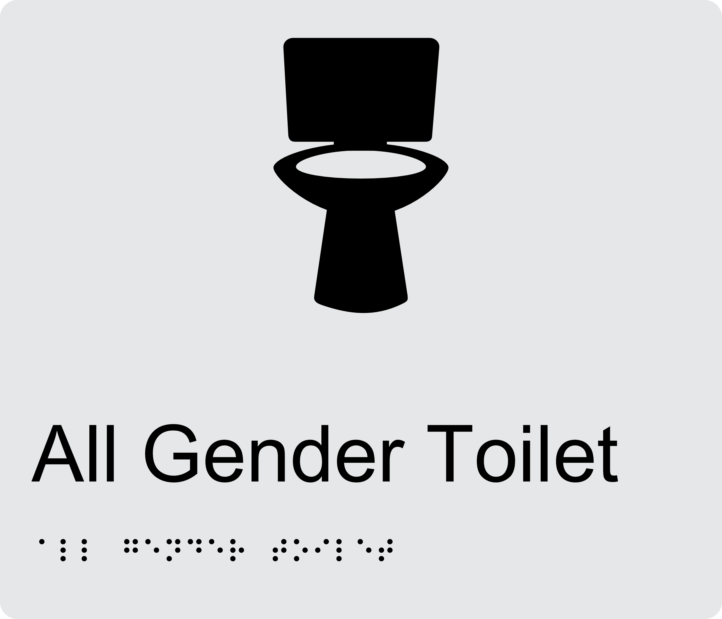 All Gender Toilet Braille Sign BT65