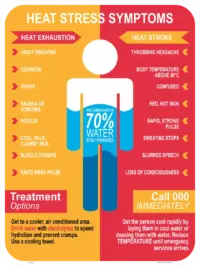 Heat Stress Symptoms Sign IN16347