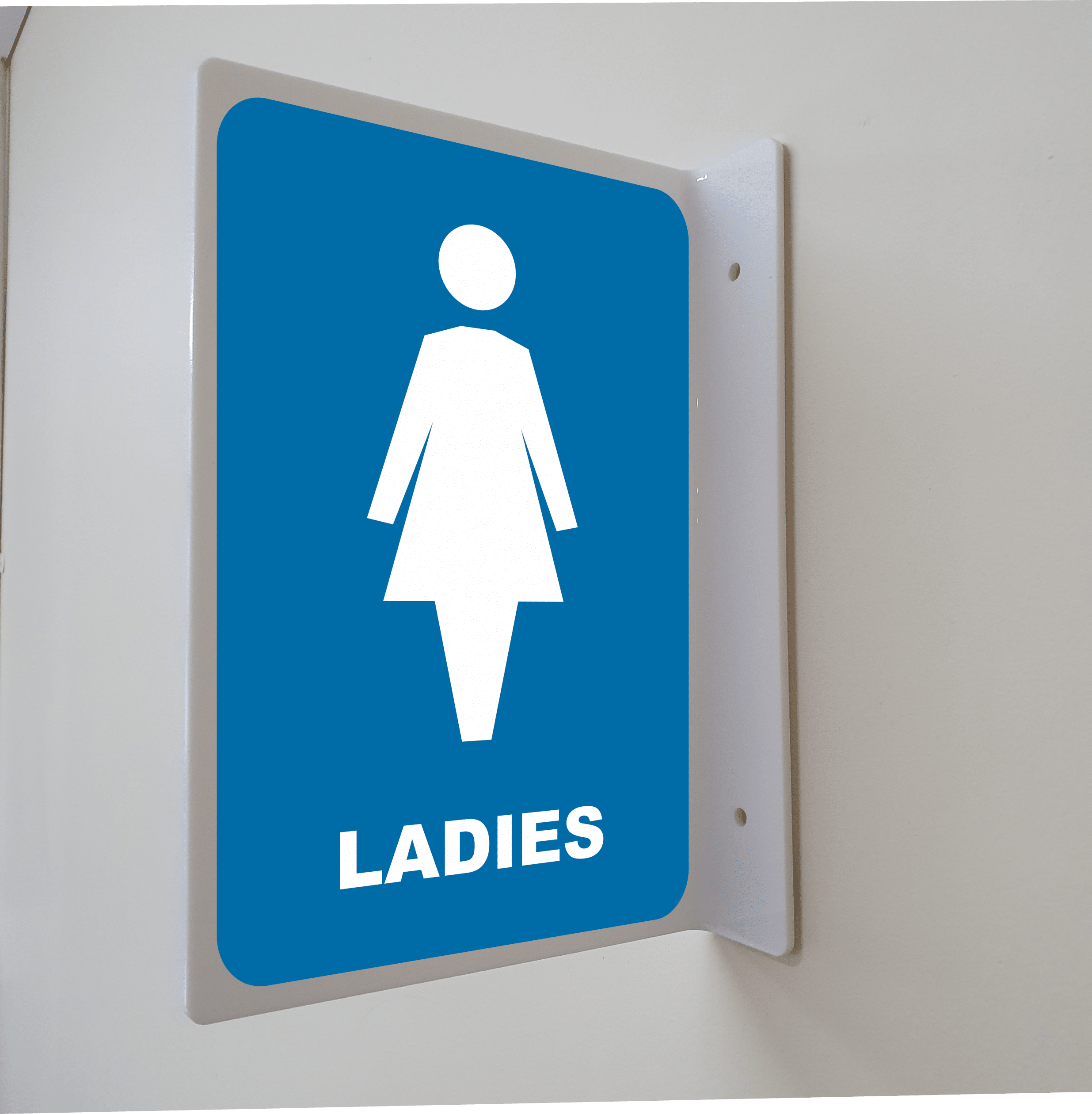 Ladies Toilet Projection Wall Sign IN16287