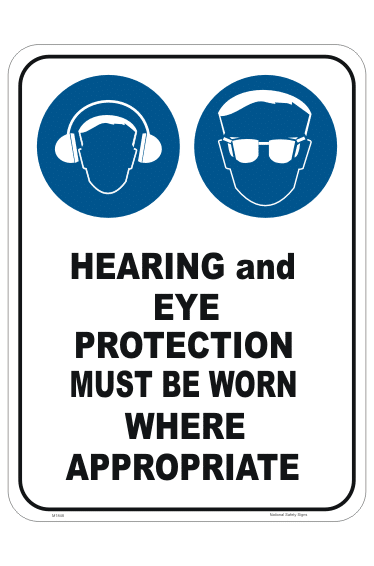 Hearing and Eye protection M1848