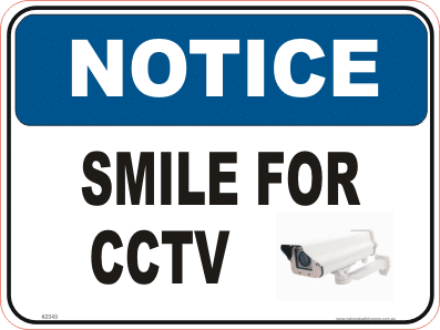 Security Camera N2049