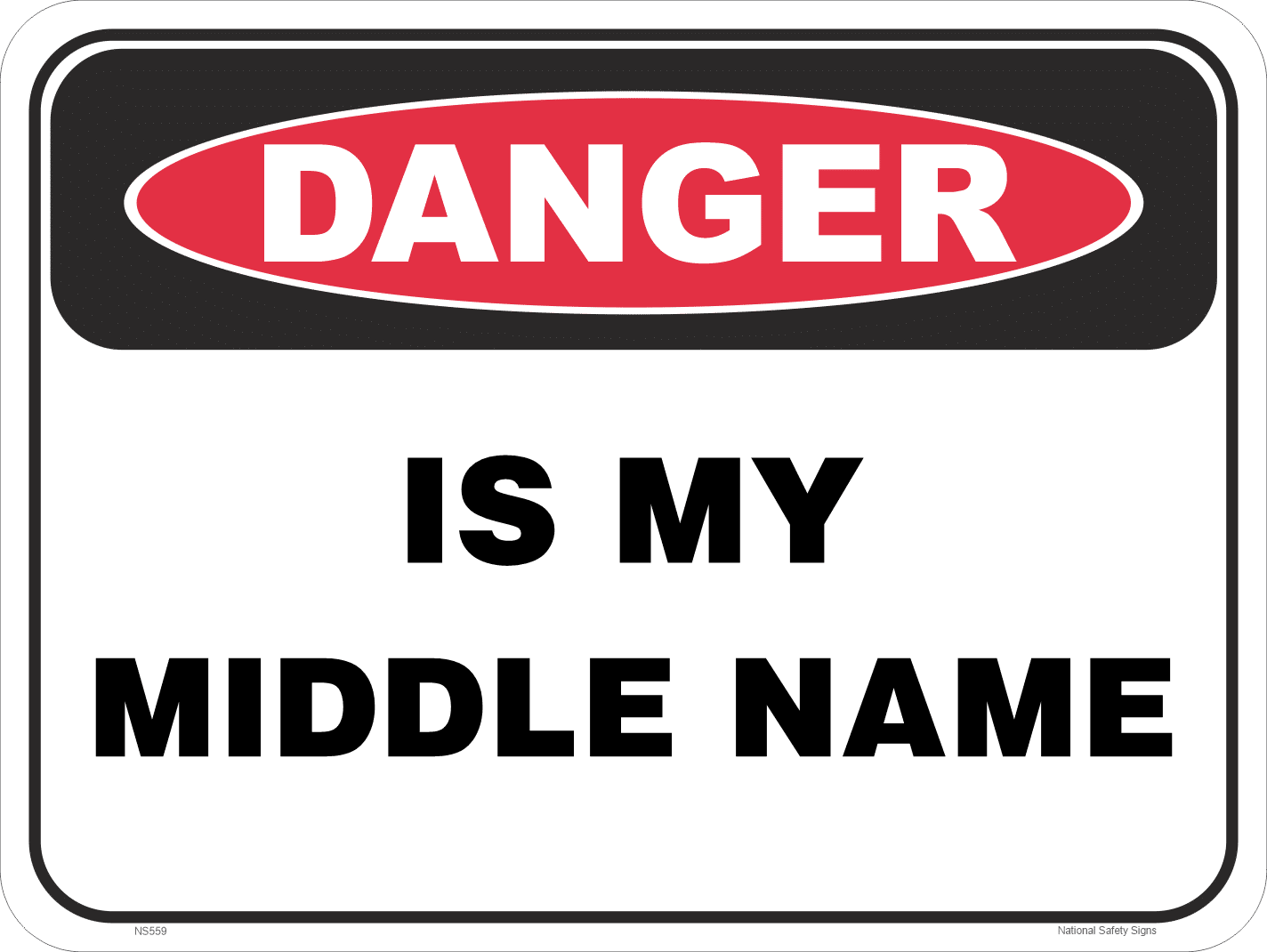 Novelty danger is my middle name sign NS559