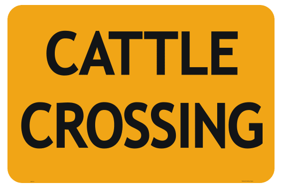 Cattle Crossing RD110