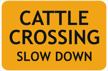 Cattle Crossing