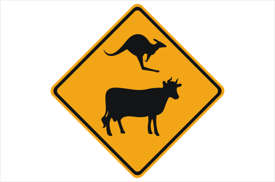 Kangaroo Cow Road sign
