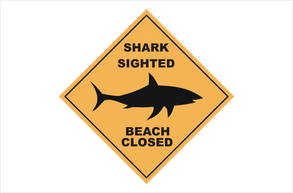 shark sighted beach closed