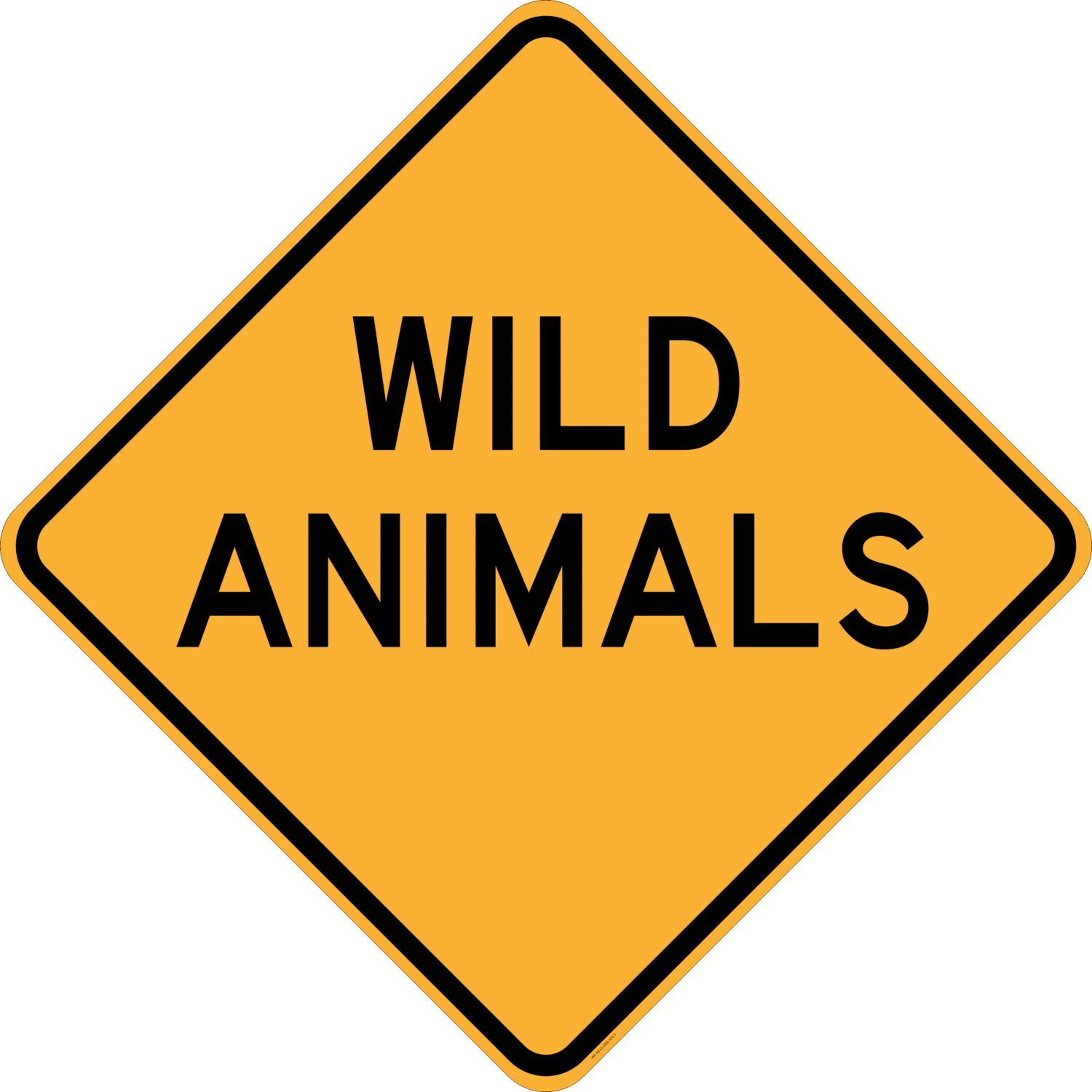 W5-49 Wild Animals